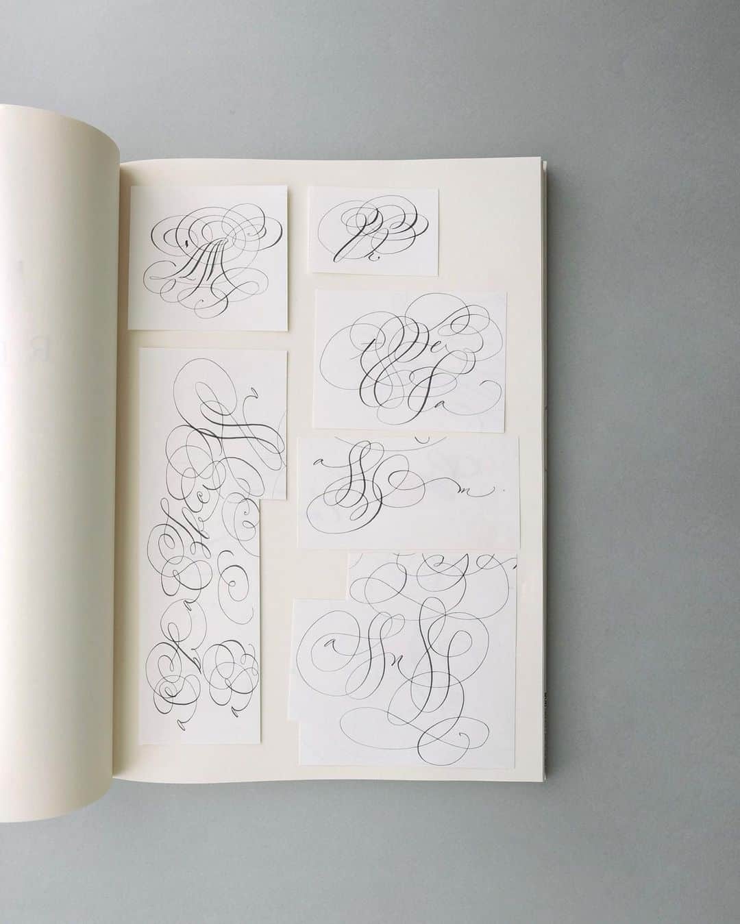 のインスタグラム：「Keeping some cut out pieces I love from my practice sheets — #journaling #truffypi #handwriting #flourishing #arabesque #penmanship #calligraphy #カリグラフィー　#カリグラフィーレッスン」