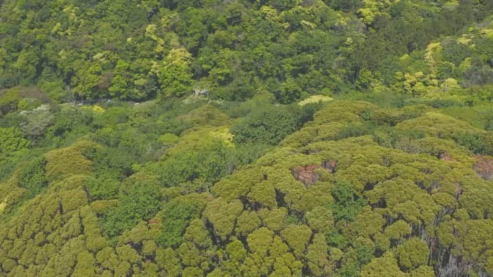 ヒデトレのグルメインスタ