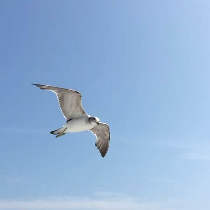 中野明海のインスタグラム