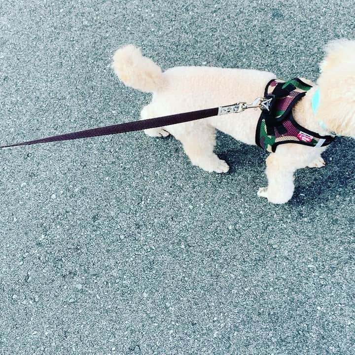 金村義明のグルメインスタ