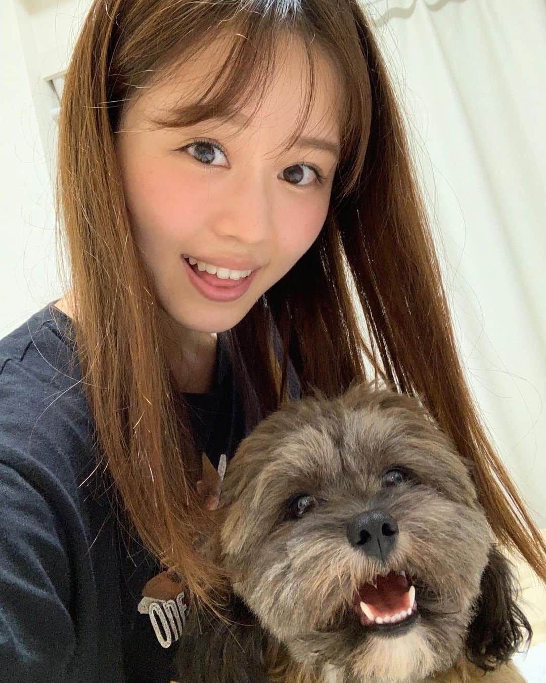 日岡なつみのインスタグラム：「いっぱい撮った🤳🐶💕  すみれ♀MIX犬(シーズー×トイプードル) #しゅみれぐらむ   #犬 #シープー #トイプードル #シーズー #ミックス犬 #いぬすたぐらむ🐶 #dog #dogstagram #instadog」