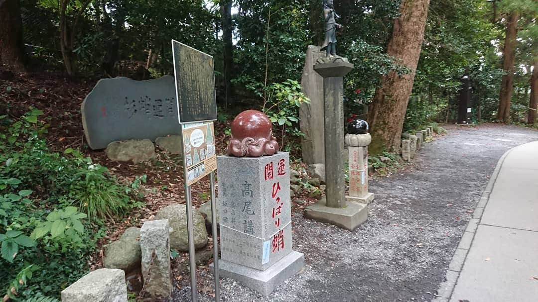 桜花さんのインスタグラム写真 - (桜花Instagram)「こんにちはでございマウンテン🗻🌷  さる園のとなりにいる猿をとったら、 なんだかキラキラ後光が差したような写真とれました🐱🍀  コロナ収束への光であれ。。！  早く収束してくださる？猿だけに。。  やっぱり同じ山でも、 何度いっても違うから毎回楽しいです＼(^^)／🍀  #猿  #キラキラ  #高尾山  #山 #久々の高尾山  #山歩き  #mountain  #mountains」10月14日 13時55分 - mountainohka