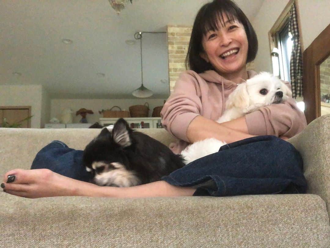 のインスタグラム：「おはようございます☺️ わんことぬくぬく。 朝の体操🤸‍♂️今日は曇り☁️ 空と交信びびびー👽⚡️ 今日も良い一日を^ ^ #チワワ#ハナちゃん #チワマル#ハルくん #べったり#まったり#コーヒータイム#寝起き#家族写真#いぬすたぐらむ #いぬばか部 #家庭菜園#ナス#ししとう#千葉暮らし#犬のいる暮らし #chihuahua #maltese #mixdog#doglover #dogstagram  家庭菜園のナスもそろそろラストスパート🍆 4月に植えて沢山獲れました✨感謝🥺👩‍🌾」