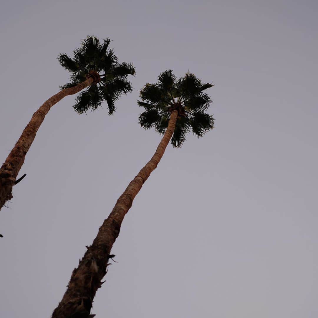 佐々木千絵さんのインスタグラム写真 - (佐々木千絵Instagram)「🤍  #palmsprings #20201012」10月14日 7時46分 - chie1012