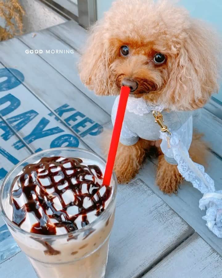 米本紗弥香のグルメインスタ