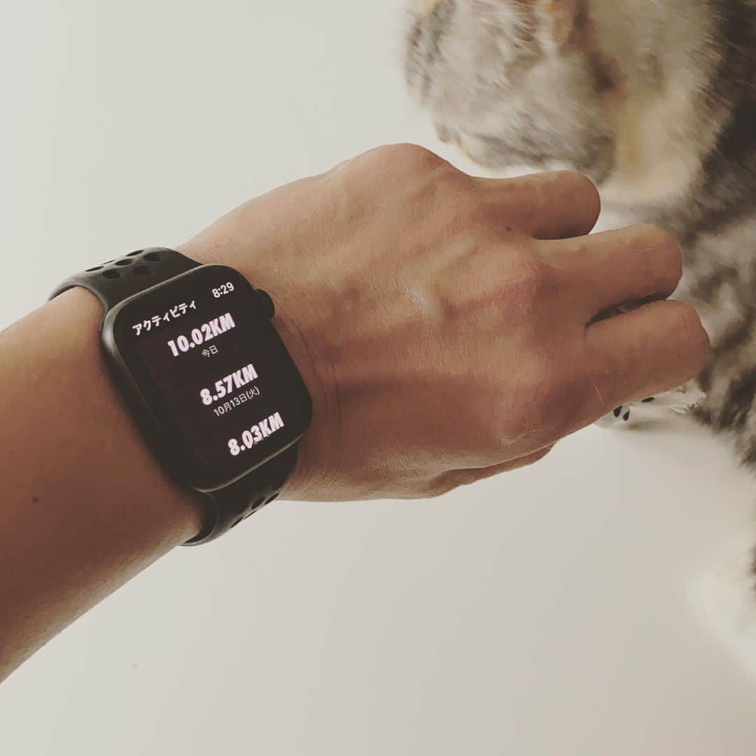 浅田信一のインスタグラム：「10km！🏃🏻‍♂️🐈」