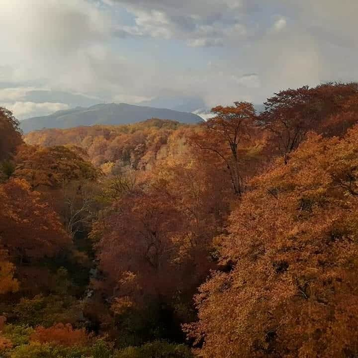 栂池高原スキー場のインスタグラム