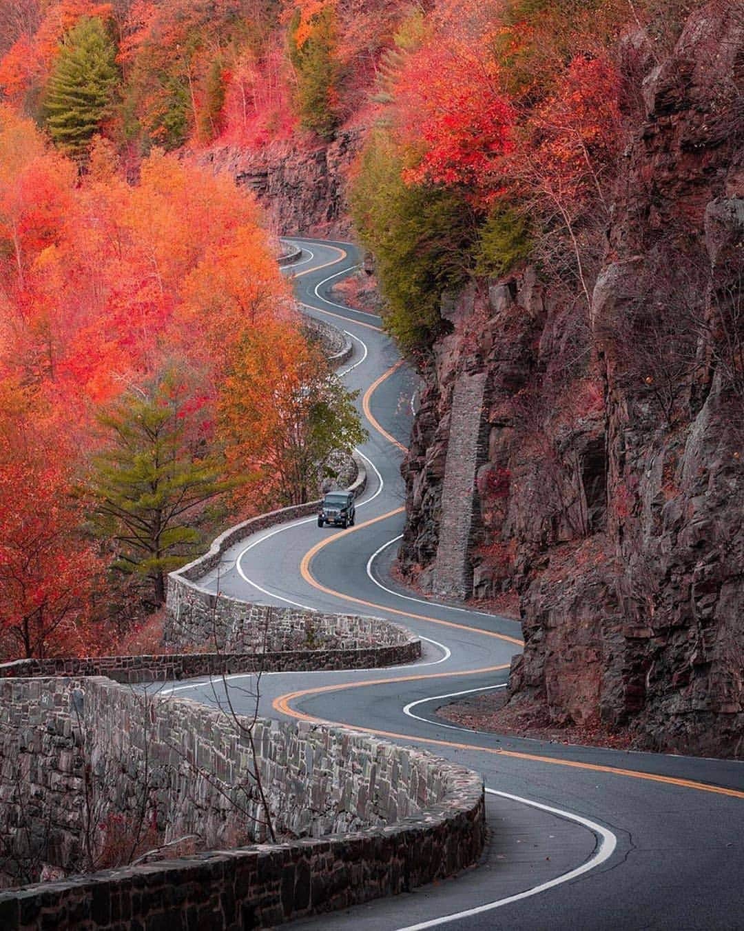 Padgramさんのインスタグラム写真 - (PadgramInstagram)「🍁The most scenic road trip 🍁 📸 @ryanresatka 📍Upstate New York, USA 🇺🇸 . . . #pgdaily #pgstar#pgcounty #fall #planetgo#planet #planetearth #amazing #awesome #nature」10月14日 8時51分 - planet.go