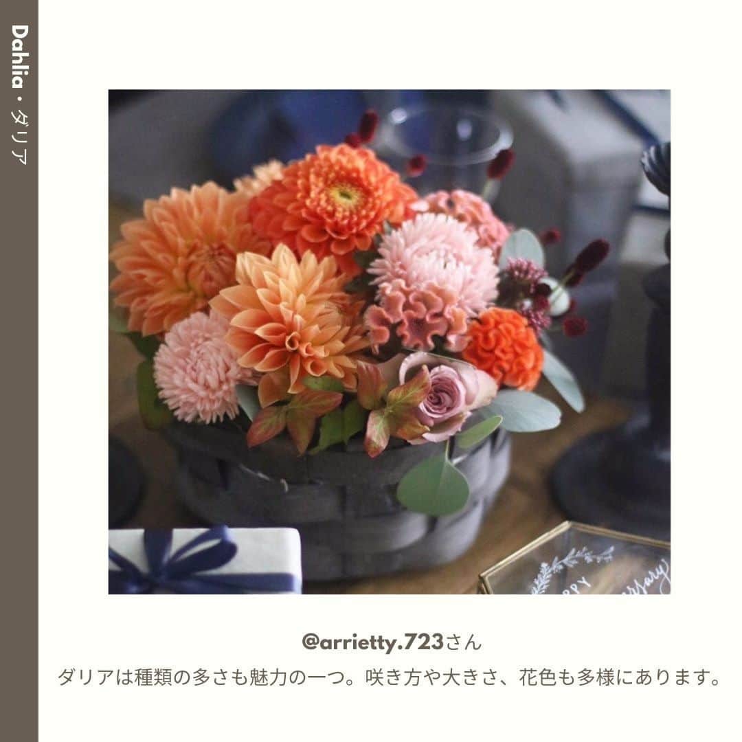 LOVEGREEN -植物と暮らしを豊かに。さんのインスタグラム写真 - (LOVEGREEN -植物と暮らしを豊かに。Instagram)「［10月🌼みんなの花あしらい］ . 澄んだ空気を肌で感じる10月。 . 木々が紅葉し、秋の花々が咲き誇ります。お料理が並ぶテーブルや、夜の読書タイムのお供に花を飾ってみませんか？  . 今回は10月のフラワーアレンジと共に、この時期のおすすめの花材や管理方法をご紹介します。 . 詳しくはプロフィール( @lovegreen_official )のURLよりチェック🌿 「みんなの花あしらい」から見てみてくださいね🌼 . ご協力ありがとうございました！ @__fleurblanche @arrietty.723 @kumitea1105 @sugikoweb @earlgreycooper . 「みんなの花あしらい」では、毎月季節のお花を生けたあしらいをご紹介しています。 . うちではこんな風に飾っています！こんなアレンジをしています！という方は、LOVEGREENの公式インスタグラムアカウントをフォローして、ハッシュタグ「#みんなの花あしらい」をつけて投稿してみませんか？もしかしたら、あなたの投稿がLOVEGREENの記事に掲載されるかも!? .  来月もお楽しみに♪ . #花 #花あしらい #バラ #薔薇 #ダリア #リンドウ #ムラサキシキブ #ワレモコウ #ハナナス #ヨウシュヤマゴボウ #トウガラシ #フラワーアレンジ #フラワーアレンジメント #花瓶 #秋の花あしらい #秋 #植物 #花のある暮らし #植物 #植物のある暮らし #植物のある生活 #植物と暮らす #植物が好き #シンプルな暮らし #シンプルライフ #暮らしを楽しむ #日々の暮らし #シンプルデザイン #植物と暮らしを豊かに」10月14日 9時00分 - lovegreen_official
