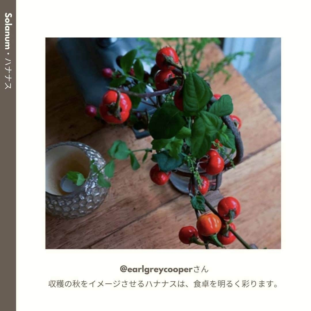 LOVEGREEN -植物と暮らしを豊かに。さんのインスタグラム写真 - (LOVEGREEN -植物と暮らしを豊かに。Instagram)「［10月🌼みんなの花あしらい］ . 澄んだ空気を肌で感じる10月。 . 木々が紅葉し、秋の花々が咲き誇ります。お料理が並ぶテーブルや、夜の読書タイムのお供に花を飾ってみませんか？  . 今回は10月のフラワーアレンジと共に、この時期のおすすめの花材や管理方法をご紹介します。 . 詳しくはプロフィール( @lovegreen_official )のURLよりチェック🌿 「みんなの花あしらい」から見てみてくださいね🌼 . ご協力ありがとうございました！ @__fleurblanche @arrietty.723 @kumitea1105 @sugikoweb @earlgreycooper . 「みんなの花あしらい」では、毎月季節のお花を生けたあしらいをご紹介しています。 . うちではこんな風に飾っています！こんなアレンジをしています！という方は、LOVEGREENの公式インスタグラムアカウントをフォローして、ハッシュタグ「#みんなの花あしらい」をつけて投稿してみませんか？もしかしたら、あなたの投稿がLOVEGREENの記事に掲載されるかも!? .  来月もお楽しみに♪ . #花 #花あしらい #バラ #薔薇 #ダリア #リンドウ #ムラサキシキブ #ワレモコウ #ハナナス #ヨウシュヤマゴボウ #トウガラシ #フラワーアレンジ #フラワーアレンジメント #花瓶 #秋の花あしらい #秋 #植物 #花のある暮らし #植物 #植物のある暮らし #植物のある生活 #植物と暮らす #植物が好き #シンプルな暮らし #シンプルライフ #暮らしを楽しむ #日々の暮らし #シンプルデザイン #植物と暮らしを豊かに」10月14日 9時00分 - lovegreen_official