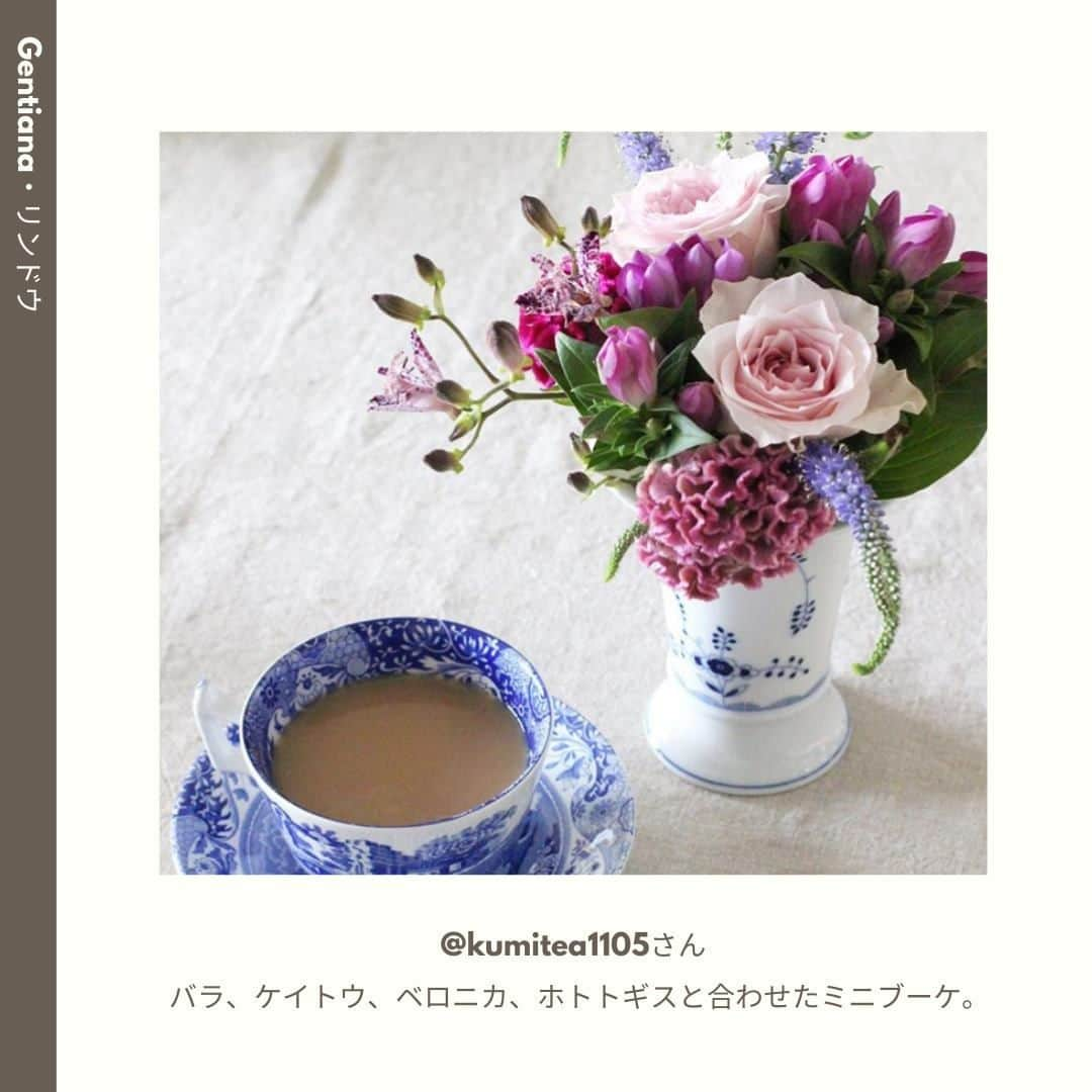 LOVEGREEN -植物と暮らしを豊かに。さんのインスタグラム写真 - (LOVEGREEN -植物と暮らしを豊かに。Instagram)「［10月🌼みんなの花あしらい］ . 澄んだ空気を肌で感じる10月。 . 木々が紅葉し、秋の花々が咲き誇ります。お料理が並ぶテーブルや、夜の読書タイムのお供に花を飾ってみませんか？  . 今回は10月のフラワーアレンジと共に、この時期のおすすめの花材や管理方法をご紹介します。 . 詳しくはプロフィール( @lovegreen_official )のURLよりチェック🌿 「みんなの花あしらい」から見てみてくださいね🌼 . ご協力ありがとうございました！ @__fleurblanche @arrietty.723 @kumitea1105 @sugikoweb @earlgreycooper . 「みんなの花あしらい」では、毎月季節のお花を生けたあしらいをご紹介しています。 . うちではこんな風に飾っています！こんなアレンジをしています！という方は、LOVEGREENの公式インスタグラムアカウントをフォローして、ハッシュタグ「#みんなの花あしらい」をつけて投稿してみませんか？もしかしたら、あなたの投稿がLOVEGREENの記事に掲載されるかも!? .  来月もお楽しみに♪ . #花 #花あしらい #バラ #薔薇 #ダリア #リンドウ #ムラサキシキブ #ワレモコウ #ハナナス #ヨウシュヤマゴボウ #トウガラシ #フラワーアレンジ #フラワーアレンジメント #花瓶 #秋の花あしらい #秋 #植物 #花のある暮らし #植物 #植物のある暮らし #植物のある生活 #植物と暮らす #植物が好き #シンプルな暮らし #シンプルライフ #暮らしを楽しむ #日々の暮らし #シンプルデザイン #植物と暮らしを豊かに」10月14日 9時00分 - lovegreen_official