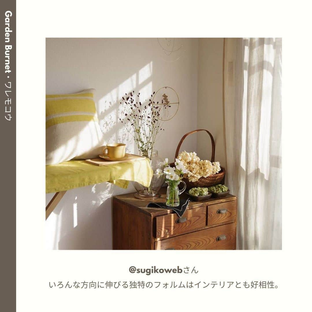 LOVEGREEN -植物と暮らしを豊かに。さんのインスタグラム写真 - (LOVEGREEN -植物と暮らしを豊かに。Instagram)「［10月🌼みんなの花あしらい］ . 澄んだ空気を肌で感じる10月。 . 木々が紅葉し、秋の花々が咲き誇ります。お料理が並ぶテーブルや、夜の読書タイムのお供に花を飾ってみませんか？  . 今回は10月のフラワーアレンジと共に、この時期のおすすめの花材や管理方法をご紹介します。 . 詳しくはプロフィール( @lovegreen_official )のURLよりチェック🌿 「みんなの花あしらい」から見てみてくださいね🌼 . ご協力ありがとうございました！ @__fleurblanche @arrietty.723 @kumitea1105 @sugikoweb @earlgreycooper . 「みんなの花あしらい」では、毎月季節のお花を生けたあしらいをご紹介しています。 . うちではこんな風に飾っています！こんなアレンジをしています！という方は、LOVEGREENの公式インスタグラムアカウントをフォローして、ハッシュタグ「#みんなの花あしらい」をつけて投稿してみませんか？もしかしたら、あなたの投稿がLOVEGREENの記事に掲載されるかも!? .  来月もお楽しみに♪ . #花 #花あしらい #バラ #薔薇 #ダリア #リンドウ #ムラサキシキブ #ワレモコウ #ハナナス #ヨウシュヤマゴボウ #トウガラシ #フラワーアレンジ #フラワーアレンジメント #花瓶 #秋の花あしらい #秋 #植物 #花のある暮らし #植物 #植物のある暮らし #植物のある生活 #植物と暮らす #植物が好き #シンプルな暮らし #シンプルライフ #暮らしを楽しむ #日々の暮らし #シンプルデザイン #植物と暮らしを豊かに」10月14日 9時00分 - lovegreen_official