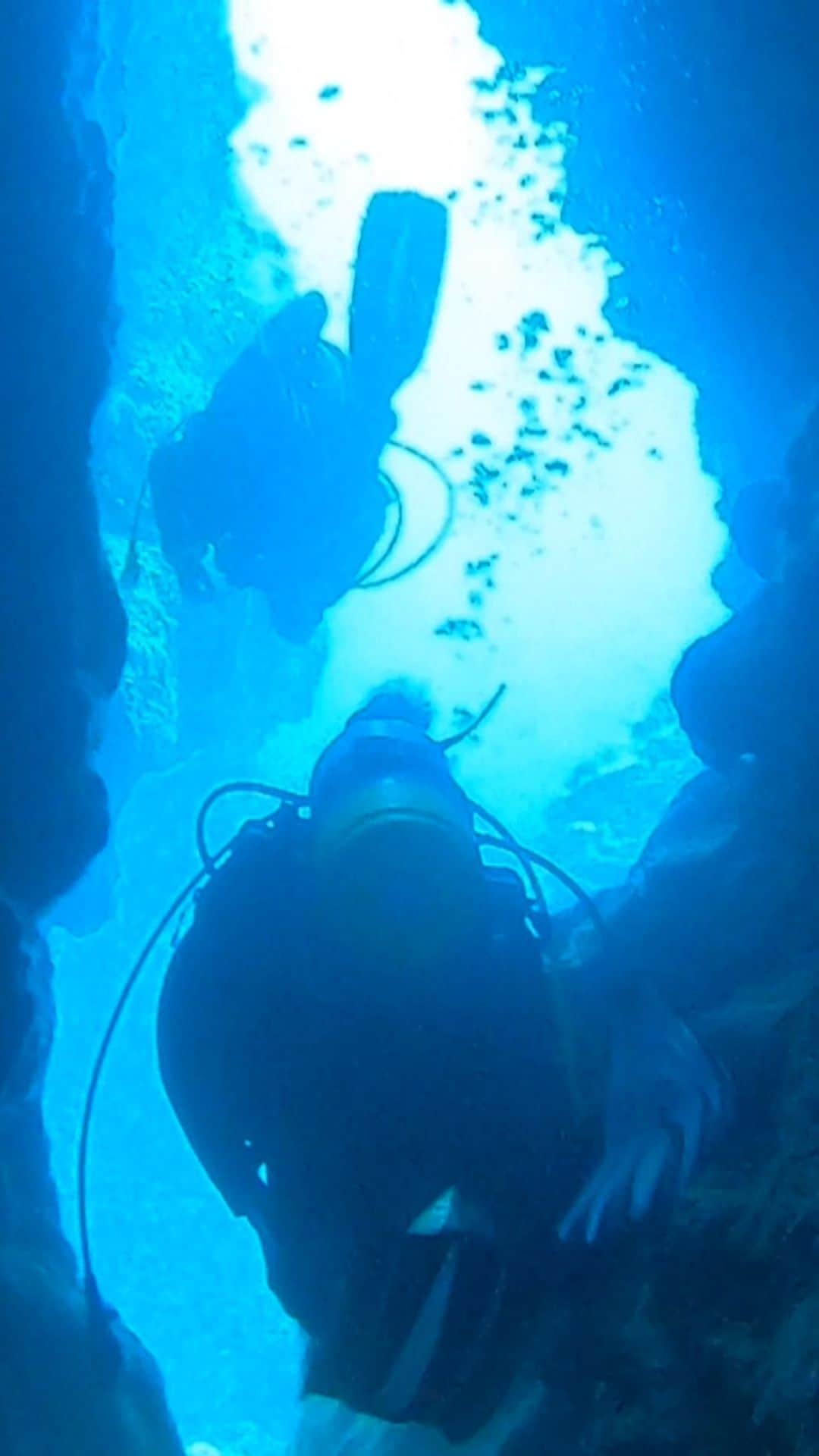のインスタグラム：「クマノミシリーズ🐠  #ダイビング女子 #スキューバダイビング #ダイビング好きな人と繋がりたい #与論島 #goproのある生活 #gopro女子 #gopro」