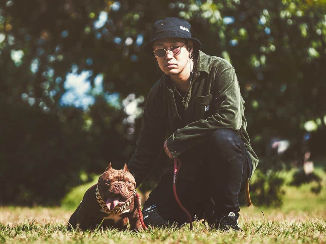 のインスタグラム：「@blitz_kennel 名前はGT🐶🍃可愛ゆす🥺 #アメリカンブリー #エキゾチックブリー #americanbully #exoticbully」