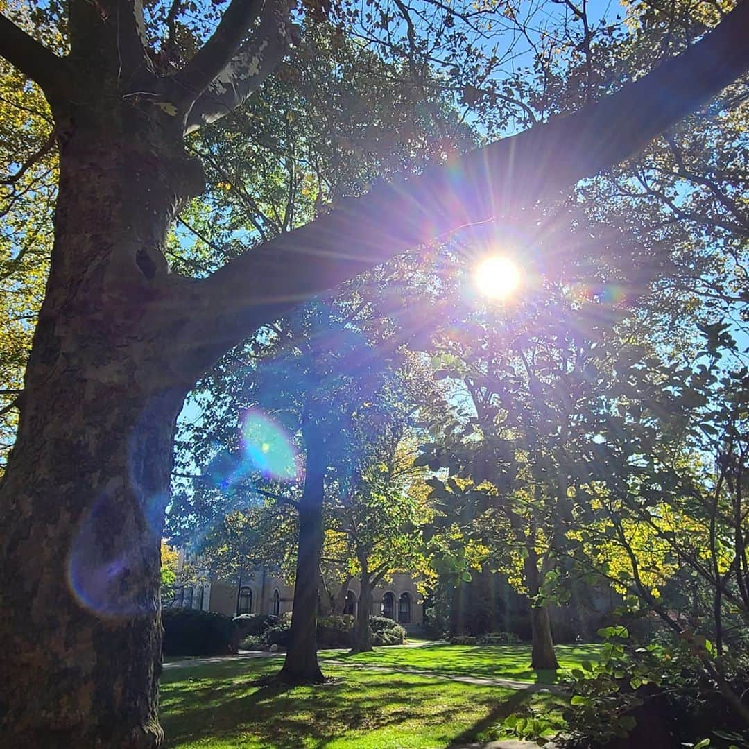 サラ・ジェシカ・パーカーさんのインスタグラム写真 - (サラ・ジェシカ・パーカーInstagram)「Ohio. The Buckeye state My long ago home. Giving us clear blue skies, history, beauty and Midwestern hospitality. X,SJ」10月14日 9時41分 - sarahjessicaparker