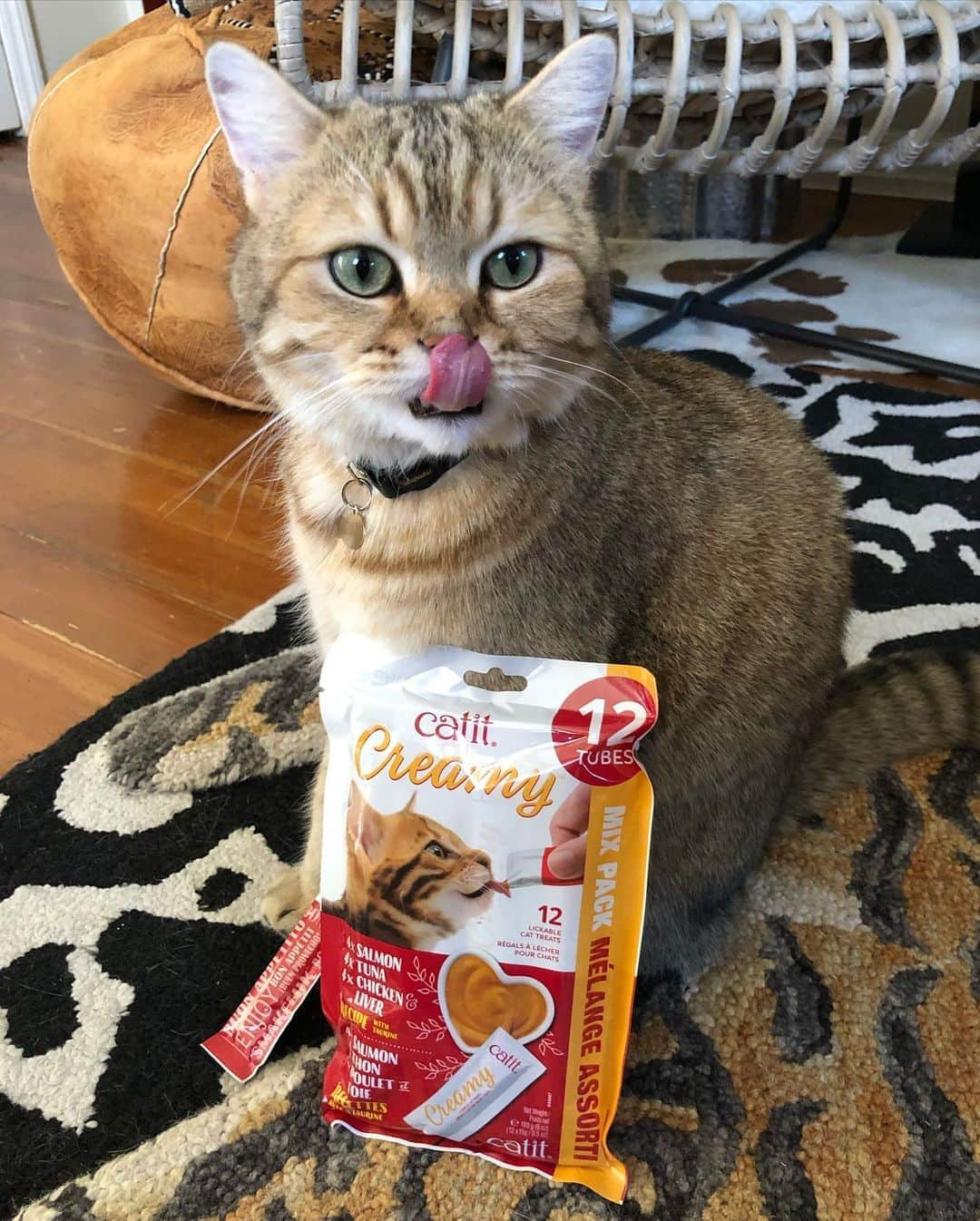 Millaさんのインスタグラム写真 - (MillaInstagram)「One word comes to mind when eating @catitdesignproducts CREAMY lick-able cat treats...D E L I C I O U S ! 😻 A product that is Milla, Winona & Kubrick APPROVED! 🐾 (link in bio & swipe up in story) 😽 #catit #MillaTheCat #WinonaCat #MrKubrickCat #catitdesignproducts」10月14日 9時42分 - millathecat