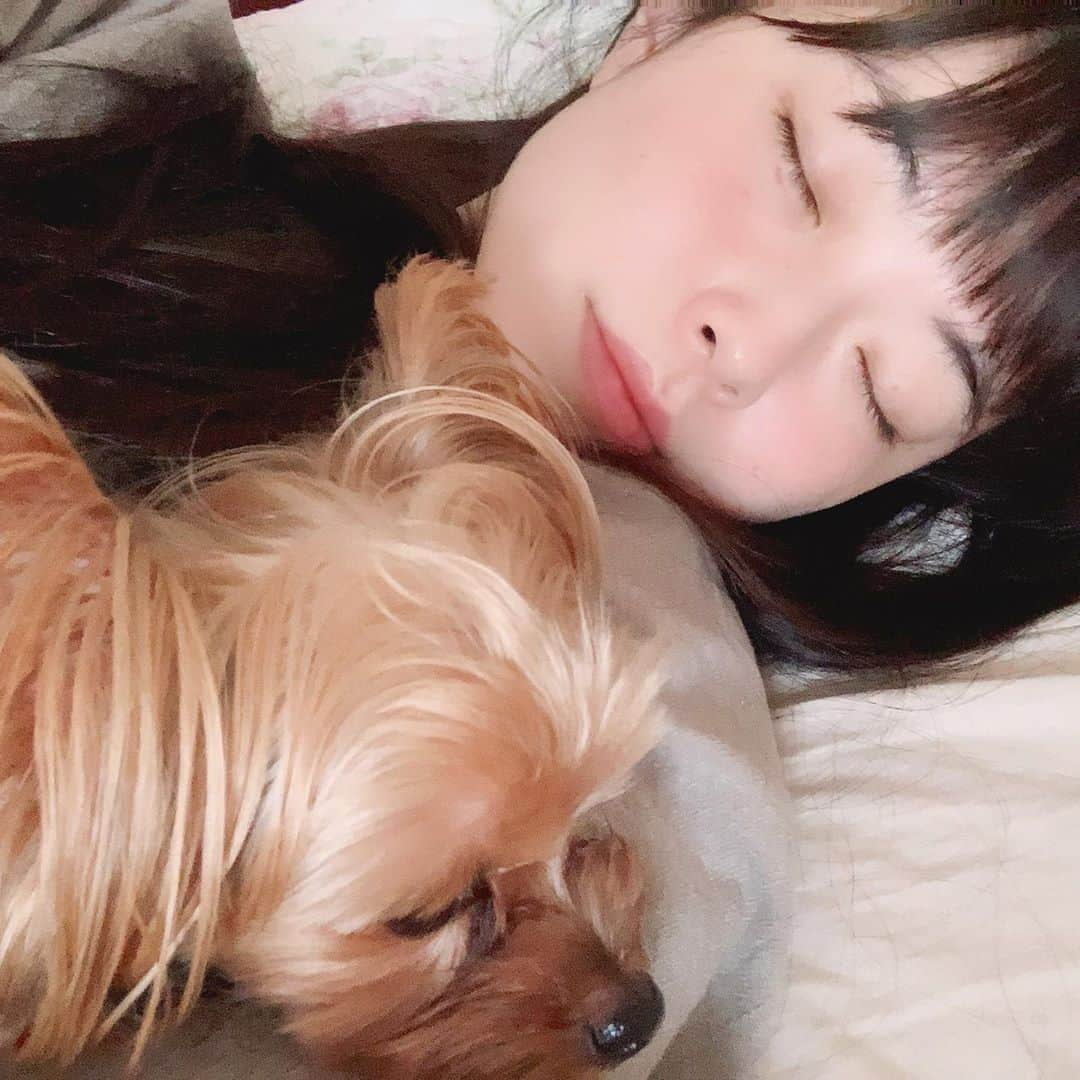 小田飛鳥のインスタグラム：「嬉しい時も悲しい時も何でもない時もいつも一緒☺︎ こんなに日常が愛おしくなるなんて…☺️ #息子であり彼氏 #生まれ変わったら結婚しよう #犬のいる暮らし」