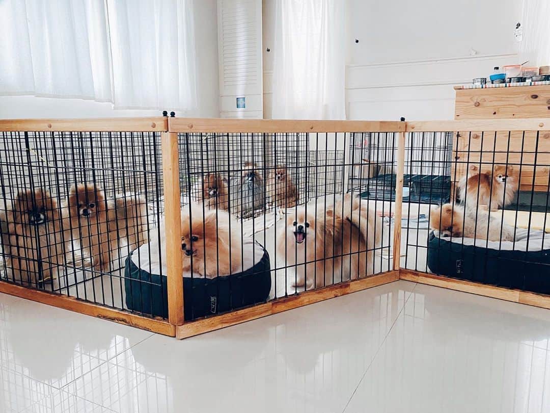r_oseのインスタグラム：「Different angle, Same happiness🧸〰️」