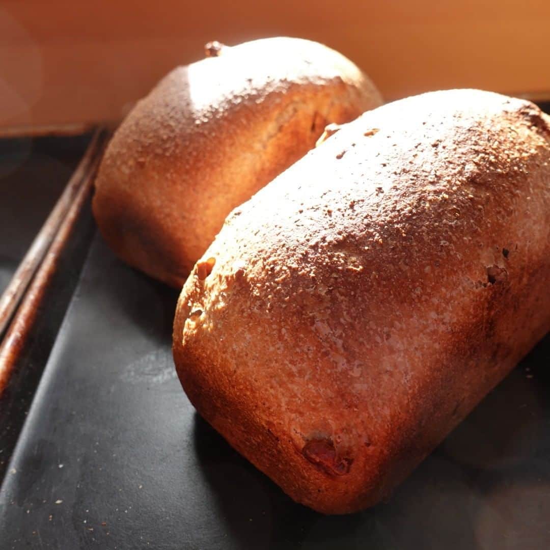 魔女菅原さんのインスタグラム写真 - (魔女菅原Instagram)「小麦を丸ごと挽いた小麦全粒粉のパンです。発酵種法でパンの骨格をつくっていますが、本ごねは１００％小麦全粒粉をつかっています。香ばしくローストした胡桃が加わって、美味しくて健康にいい効果が期待できるパンに焼きあがっています。小麦全粒粉は味と安全性から南部小麦全粒粉9割、岩手県全粒粉細挽き1割の配合で県産のものをつかっています。 ＃コンプレノア　＃コンプレ　＃全粒粉　＃小麦全粒粉　＃小麦全粒粉のパン　＃盛岡　＃盛岡パン　＃盛岡パン屋　＃自家製天然酵母のパン屋さんカンパーニュ　＃魔女菅原」10月14日 10時08分 - hatsuyosugawara