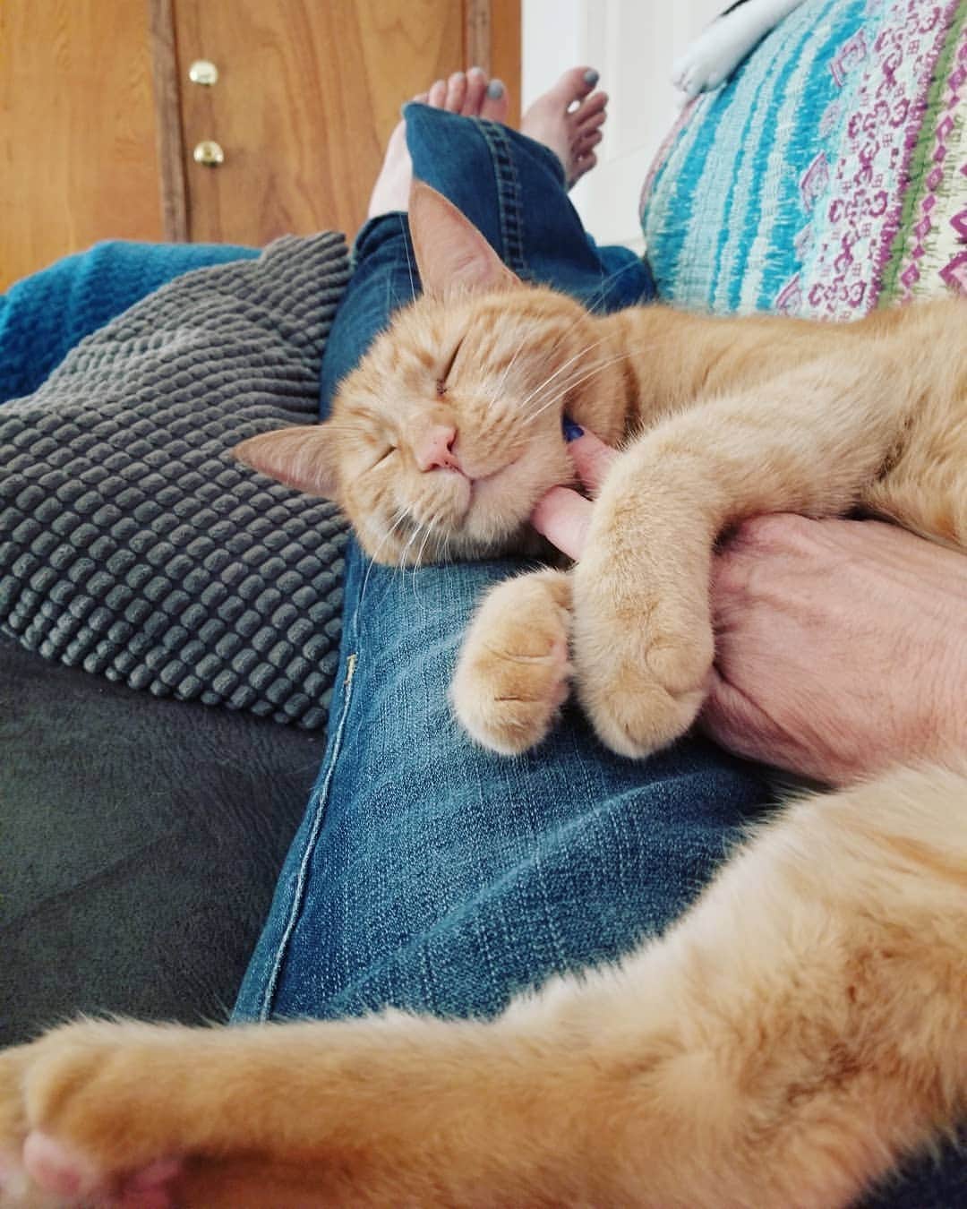 Garyのインスタグラム：「Being all cute and stuff #hankyouverymuch」
