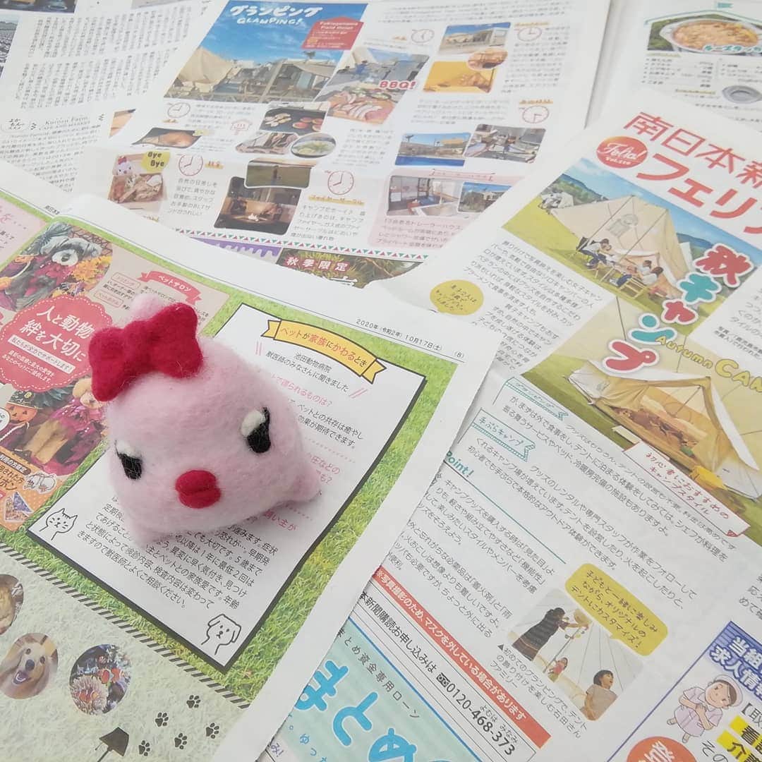 南日本新聞フェリアさんのインスタグラム写真 - (南日本新聞フェリアInstagram)「フェリア10月17日号(vol.510)の特集は  「 #秋キャンプ ⛺」  キャンプのハイシーズンが到来！ あなたは #軽トラキャンピングカー 🚙 で自由な時間を過ごす？ それとも #グランピング でお手軽アウトドアを堪能？  噂の #デイキャンプや #グランピング など、 初心者でも楽しめるスタイルを体感してきました😁  もう一つの企画は、「#ペットとの暮らし を快適に」  ペットも大切な家族の一員。 コロナ禍でも一緒に元気に過ごしていきたいですね🐶😹  フェリア主催のマネー講座も応募受付中～👛  フェリア10/17発行号は配布中 です🎶  #アウトドア #キャンプ初心者 #BBQ #〇〇の秋 #マネー講座  #ふーちゃん #ぬい撮り #南日本新聞 #勝手に鹿児島大使 #kagoshima #felia #フェリア」10月14日 10時31分 - felia_insta