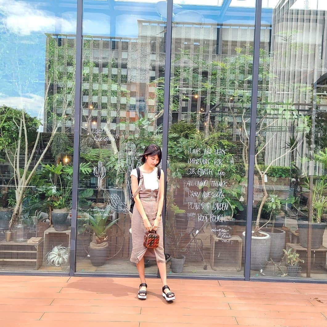 Lisaのインスタグラム：「. 最近観葉植物が好き。 引越ししたらおっきい観葉植物 欲しい🍃🌱 .」