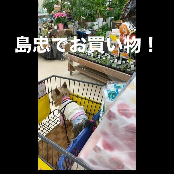 富士川碧砂のインスタグラム