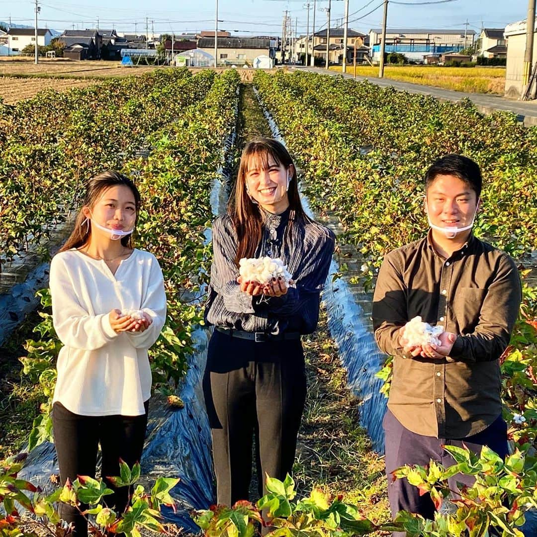 近畿大学総務部広報室さんのインスタグラム写真 - (近畿大学総務部広報室Instagram)「#cottonfield @tabio.jp in  #nara with @naomi_trauden_official  and @kindai.ksa   #kindaiuniversity students trying to #maketheworldabetterplace . #sdgs . For the details, it will be broadcasted on @nikkeiplus10 .  BSテレビ東京「日経プラス10」 10/15（木）22:00～ 近畿大学のSDGsの取り組みについて放映されます。 ナビゲーターの#トラウデン直美 さんと奈良の#タビオ の#綿畑 にて  #近畿大学  #kindai  #studentactivities  #cotten  #tabio  #産学連携  #靴下  #奈良」10月14日 11時01分 - kindaiuniversity