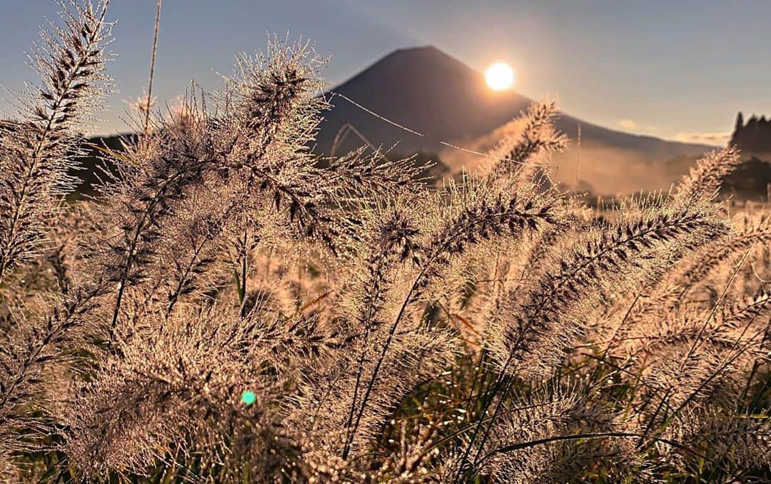 phantastic420のインスタグラム：「. 🤩🤩“Shizuoka” prefecture in Japan is a place where you can see the most “phantastic” Mt. Fuji🗻 in the world.🤩 #富士山 #mtfuji #japan #shizuoka #fujinomiya  #宮すた #miyasta @fujinomiyacity  #phantastic420photography #mostphantasticmtfuji #selamatpagi  #goodmorning  #おはようございます  #สวัสดี 🙏#สวัสดีครับ 🙏🇹🇭😇😇😇😇😇🗻😇😇😇😇 🇹🇭#Thailand now 🤣#サワディーカップ 🙏#サワディー 🙏」