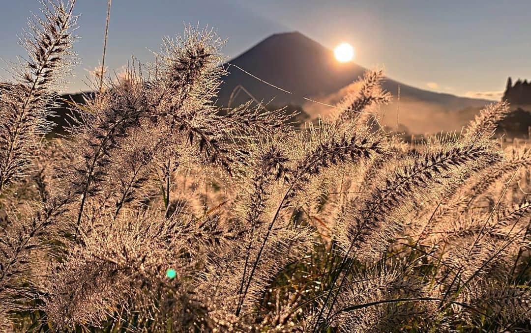 phantastic420さんのインスタグラム写真 - (phantastic420Instagram)「. 🤩🤩“Shizuoka” prefecture in Japan is a place where you can see the most “phantastic” Mt. Fuji🗻 in the world.🤩 #富士山 #mtfuji #japan #shizuoka #fujinomiya  #宮すた #miyasta @fujinomiyacity  #phantastic420photography #mostphantasticmtfuji #selamatpagi  #goodmorning  #おはようございます  #สวัสดี 🙏#สวัสดีครับ 🙏🇹🇭😇😇😇😇😇🗻😇😇😇😇 🇹🇭#Thailand now 🤣#サワディーカップ 🙏#サワディー 🙏」10月14日 11時14分 - phantastic420