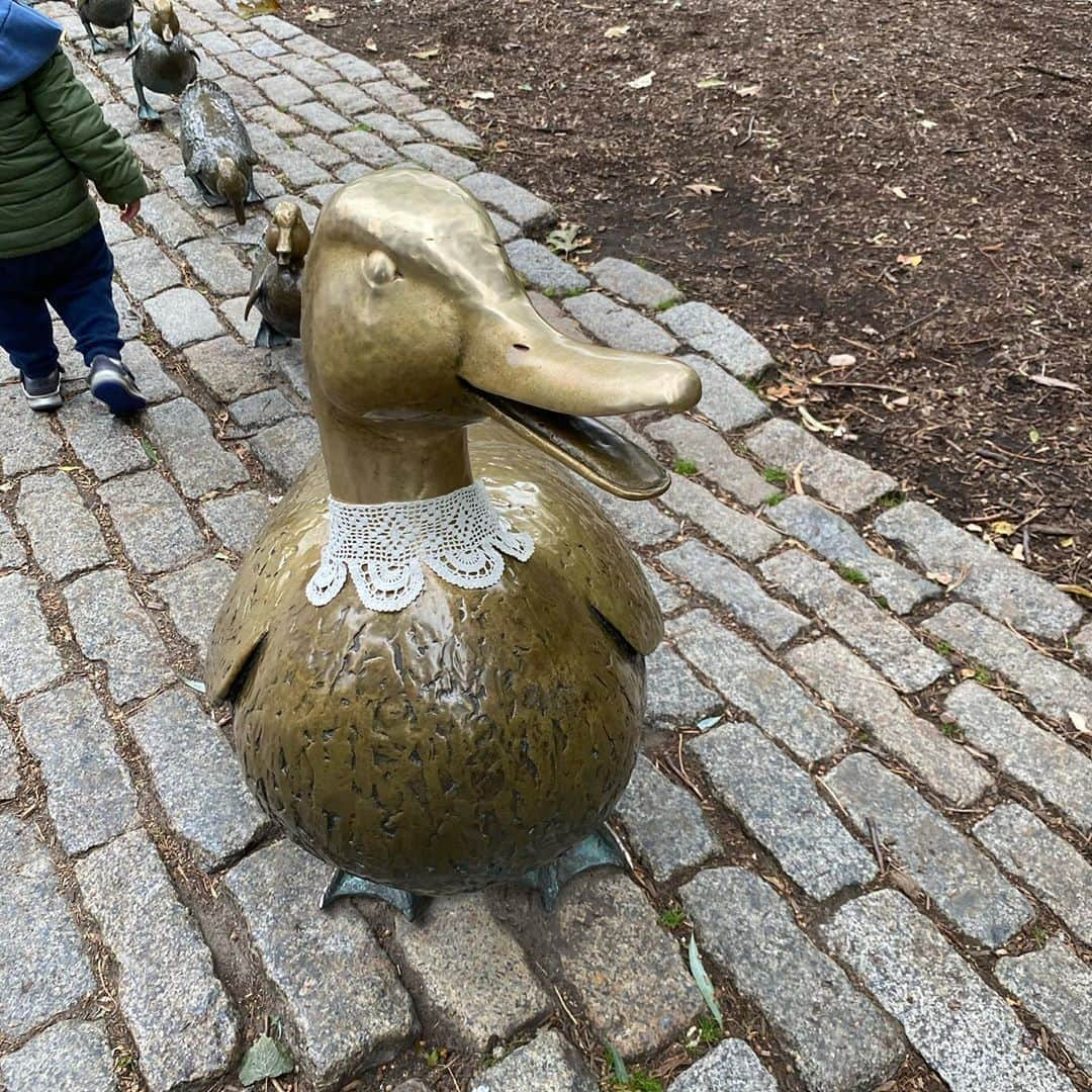 エイミー・シューマーさんのインスタグラム写真 - (エイミー・シューマーInstagram)「In Boston someone put an rbg tribute collar on this duck and it made me feel good for one moment during this butthole of a time.」10月14日 11時19分 - amyschumer