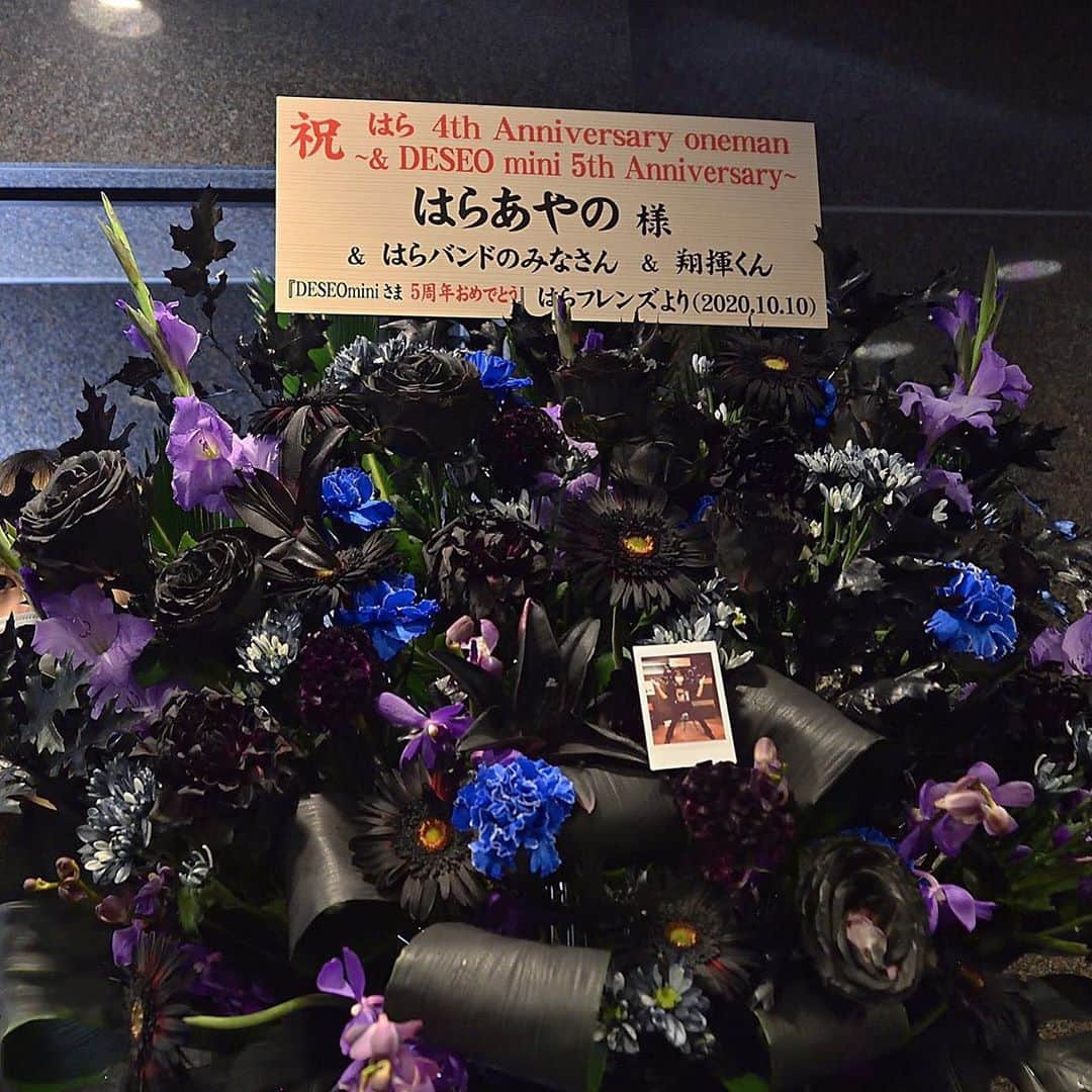 原あやのさんのインスタグラム写真 - (原あやのInstagram)「🖤💙💜 . . #フラワー#フラワースタンド#黒#紫#青 #ありがとうございます #はらを探せ#flower#20201010」10月14日 11時19分 - ayano_hara_69