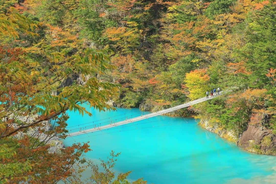 THE GATEのインスタグラム：「【 Yume no Tsuribashi Suspension Bridge// #Shizuoka 】  Yume no Tsuribashi is a part of the Sumata Promenade, which is one of the three hiking courses at Sumata Gorges.  l It is said that your "yume" ( "dream" in Japanese ) will come true when wishing for it on this bridge.  l The milky blue lake under this bridge is eye-catching, and has magnificent view especially in fall with the red leaves.  l Since only 10 people are allowed on the bridge at one time, there is a long queue during tourist seasons. . ————————————————————————————— ◉Adress Sumta Gorges, Senzu, Kawanehon-cho Haibara-gun, Shizuoka ————————————————————————————— Follow @thegate.japan for daily dose of inspiration from Japan and for your future travel.  Tag your own photos from your past memories in Japan with #thegatejp to give us permission to repost !  Check more information about Japan. →@thegate.japan . #japanlovers #Japan_photogroup #viewing #Visitjapanphilipines #Visitjapantw #Visitjapanus #Visitjapanfr #Sightseeingjapan #Triptojapan  #粉我 #Instatravelers #Instatravelphotography #Instatravellife #Instagramjapanphoto #autumn #fallleaves #japanesemaple #autumnleaves #단풍 #秋天的樹葉 #秋天的树叶 #hojasdeotoño #ฤดูใบไม้ร่วง #yumenotsuribashi」