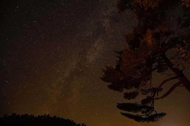 Tim Lamanさんのインスタグラム写真 - (Tim LamanInstagram)「Photos by @TimLaman.  Dusk, Mount Desert Island, Maine.  I just spent the long weekend in and around Acadia National Park on a family camping trip.  I made this image from our campsite on the coast, and the second image a couple hours later of the milky way and the same tree, gently illuminated by our campfire light.  #dusk #Maine #Acadia #AcadiaNationalPark #milkyway #stars   Take note if you like a bargain:  My prints are currently on sale in my online store at link in bio.  Please check them out… there’s something for every taste from Birds-of-Paradise to Antarctica.」10月14日 12時05分 - timlaman