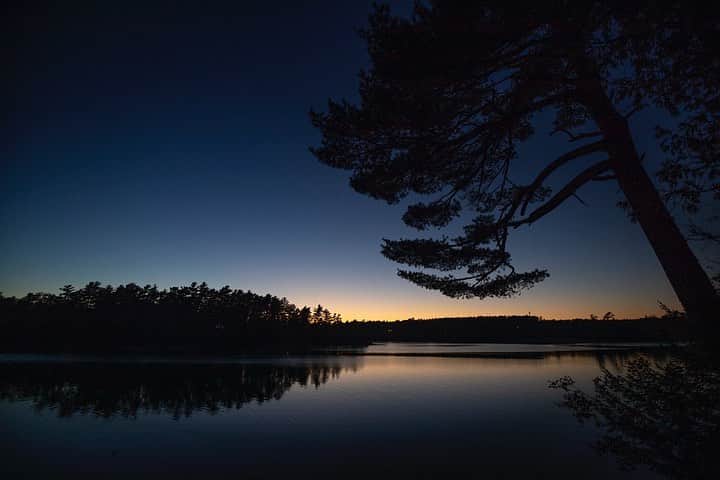 Tim Lamanさんのインスタグラム写真 - (Tim LamanInstagram)「Photos by @TimLaman.  Dusk, Mount Desert Island, Maine.  I just spent the long weekend in and around Acadia National Park on a family camping trip.  I made this image from our campsite on the coast, and the second image a couple hours later of the milky way and the same tree, gently illuminated by our campfire light.  #dusk #Maine #Acadia #AcadiaNationalPark #milkyway #stars   Take note if you like a bargain:  My prints are currently on sale in my online store at link in bio.  Please check them out… there’s something for every taste from Birds-of-Paradise to Antarctica.」10月14日 12時05分 - timlaman