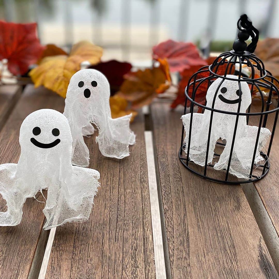 柏の葉 T-SITEのグルメインスタ