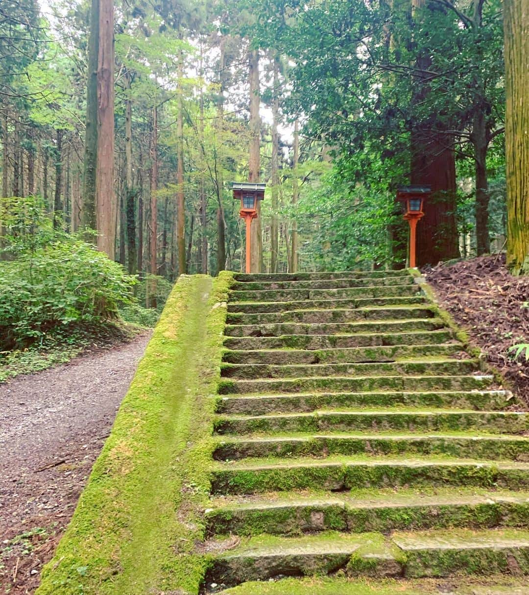 みひろさんのインスタグラム写真 - (みひろInstagram)「. 時の流れに身をまかせるばかりだったけど、流れを変えるために動き出す。 今日がその一歩🌈  #御殿場 #二岡神社 #自然 #苔 #苔好き  #転機   #みひろ #mihiro #미히로 #朝美穗香」10月14日 12時34分 - mihiro0519