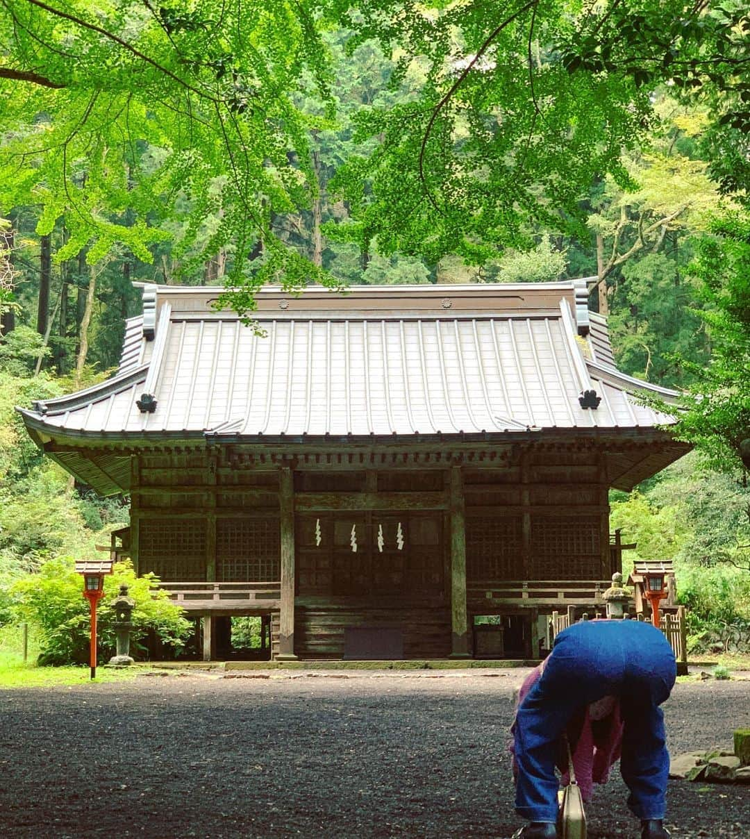 みひろさんのインスタグラム写真 - (みひろInstagram)「. 時の流れに身をまかせるばかりだったけど、流れを変えるために動き出す。 今日がその一歩🌈  #御殿場 #二岡神社 #自然 #苔 #苔好き  #転機   #みひろ #mihiro #미히로 #朝美穗香」10月14日 12時34分 - mihiro0519