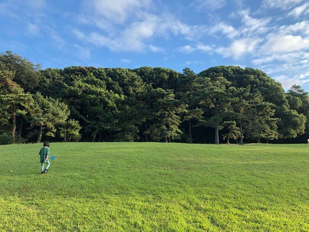 龍円愛梨さんのインスタグラム写真 - (龍円愛梨Instagram)「ニコの3.4時間目は虫探し🐛  カマキリ、バッタ、コオロギ、蝶、イモムシ、ガ、ハチほか名前を知らない虫もいっぱい！！  手に持ってるのは、魚用の網なので、何も捕まえられないんだけどね笑  #inclusionmatters」10月14日 22時15分 - airi_ryuen