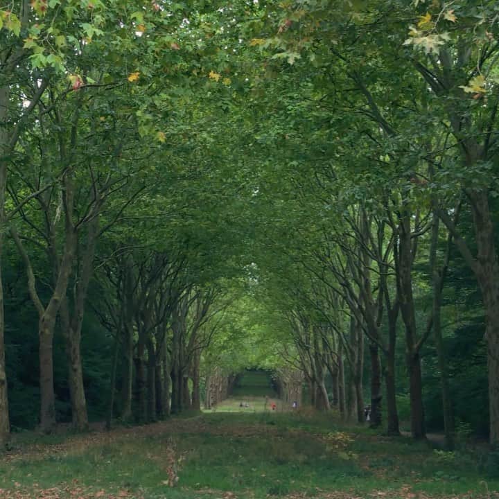 クリスティナ・バザンのインスタグラム：「Appreciation post 🌿🍵 Nature, our ancestral guide. In our ever expansive cosmos, Earth dances so beautiful and nurturing. Us humans, her living, breathing, walking beings One with her and the dance. Beyond belief is Oneness. With Source and Earth. We, Individus, are all One yet each our Own. Beyond creation, there Is all that is. We reflect thy colors. Beyond spirit there is sound. And thy is that sound that lays beyond all things, all realities and all times. That sound is Love, is Om. Nature is in thy eyes, thy heart, and all is Love. Beyond illusion, immersion, there is only One.」