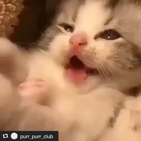 kamunaのインスタグラム