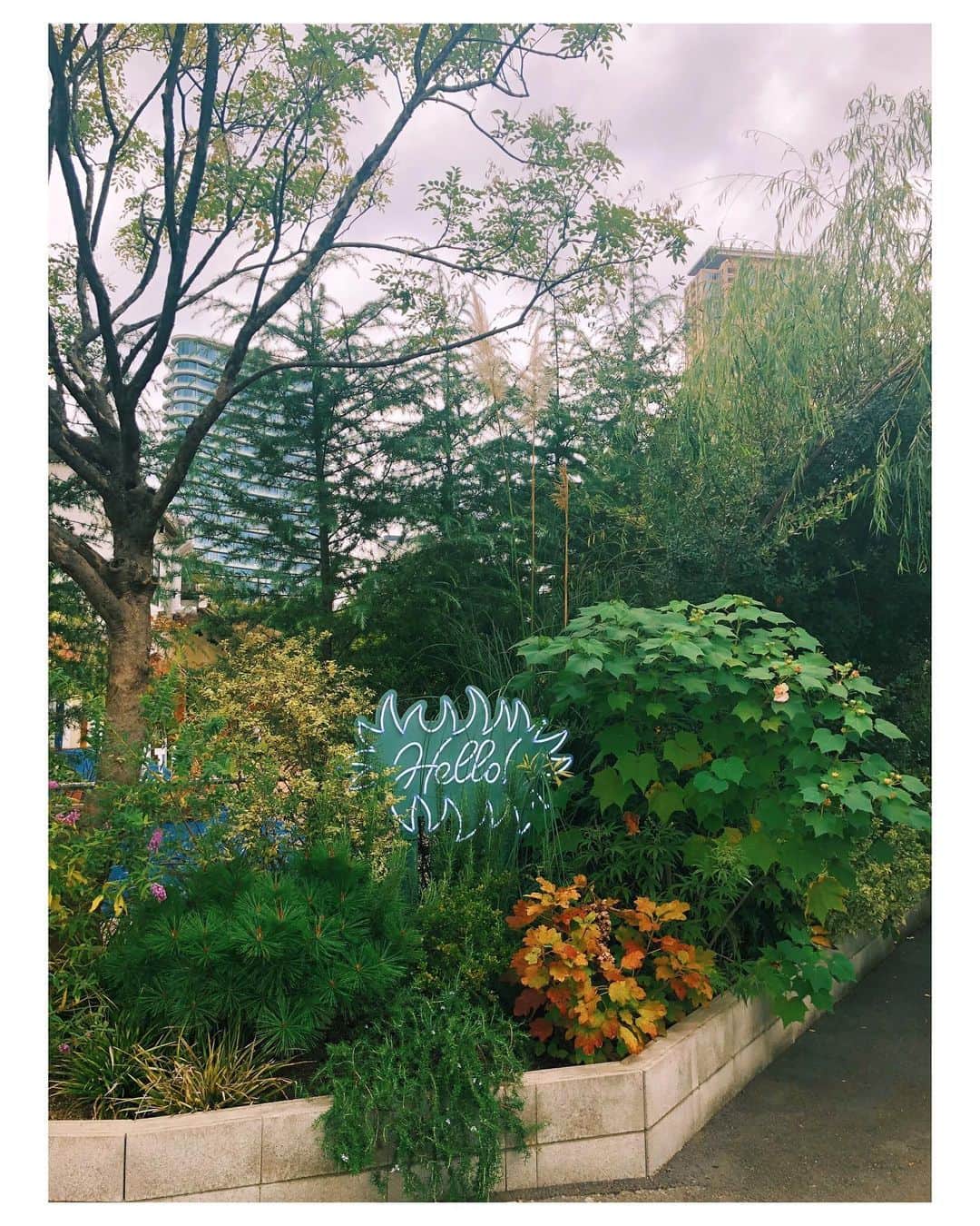 M'sブライダルさんのインスタグラム写真 - (M'sブライダルInstagram)「🌴solso park 南青山🌵 #南青山#ソルソパーク #憩の場 #デートスポット #オススメスポット #観葉植物 #コーヒータイム #美味しい #カップル #子供連れ #出会い#お見合い#婚活#結婚#結婚相談所#エムズブライダルジャパン🌺 #エムズブライダル🌈 #msbridal」10月14日 23時35分 - msbridal_pr