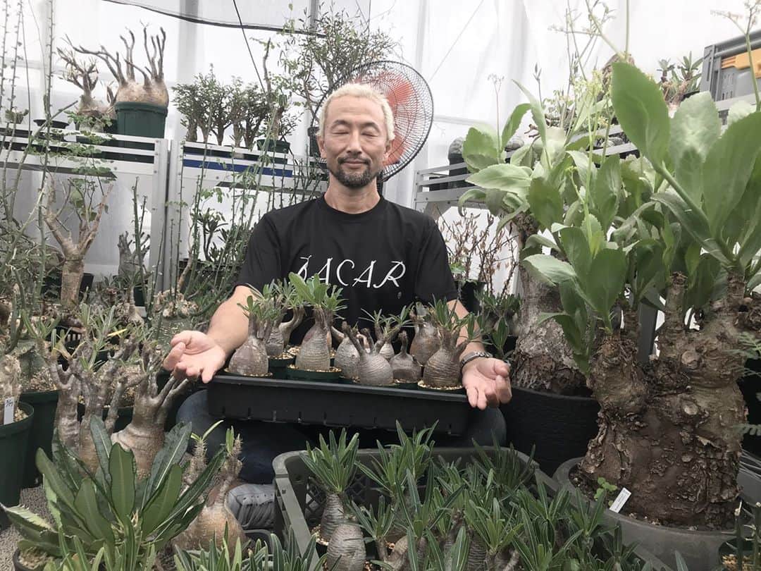 藤代冥砂のインスタグラム