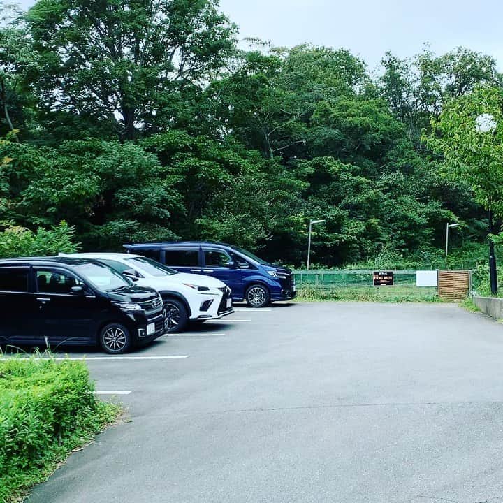 金村義明のグルメインスタ