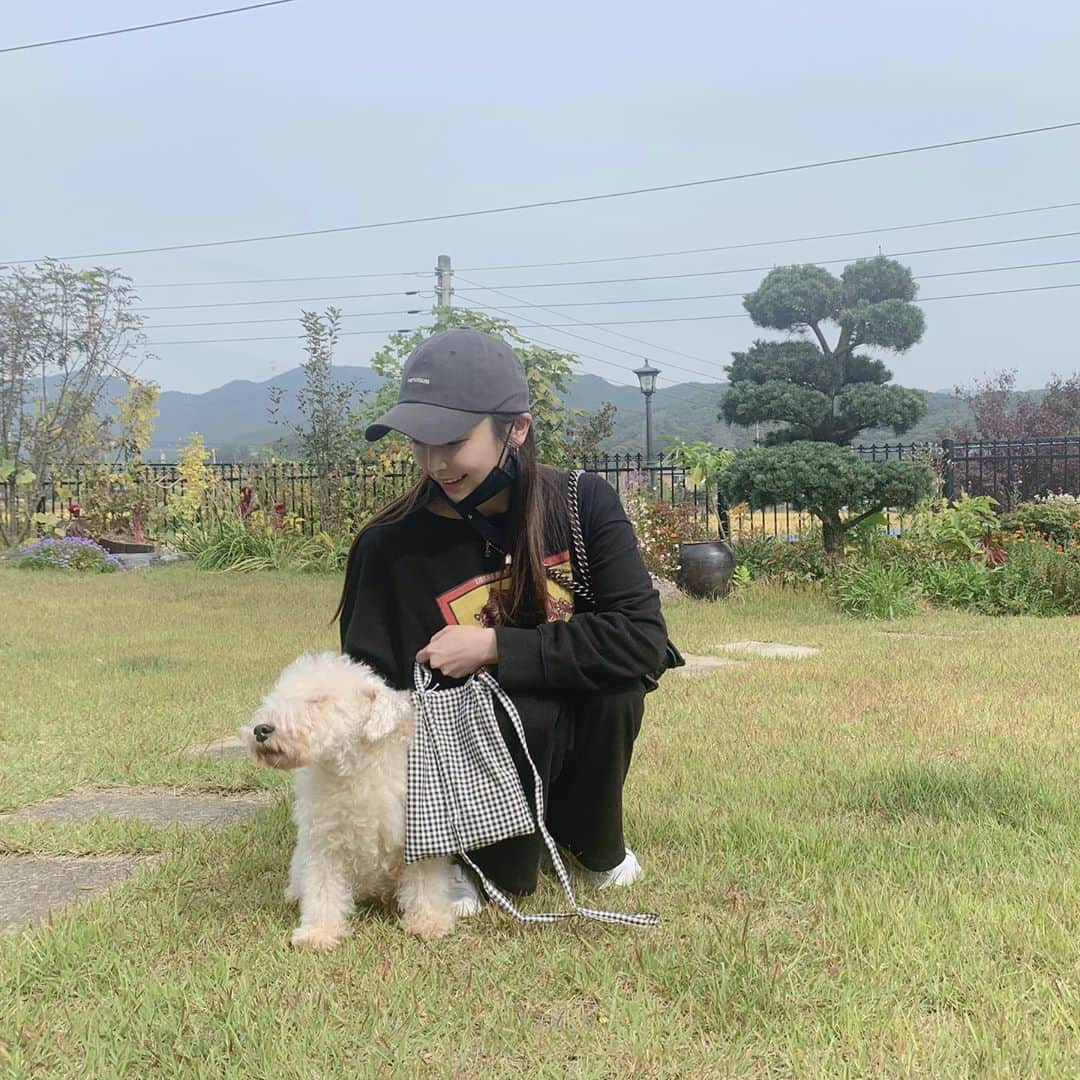 チョン・ユミのインスタグラム：「사진찍길 싫어하는 개, 분명해.🤔 #내동생❤️🐶#그린」