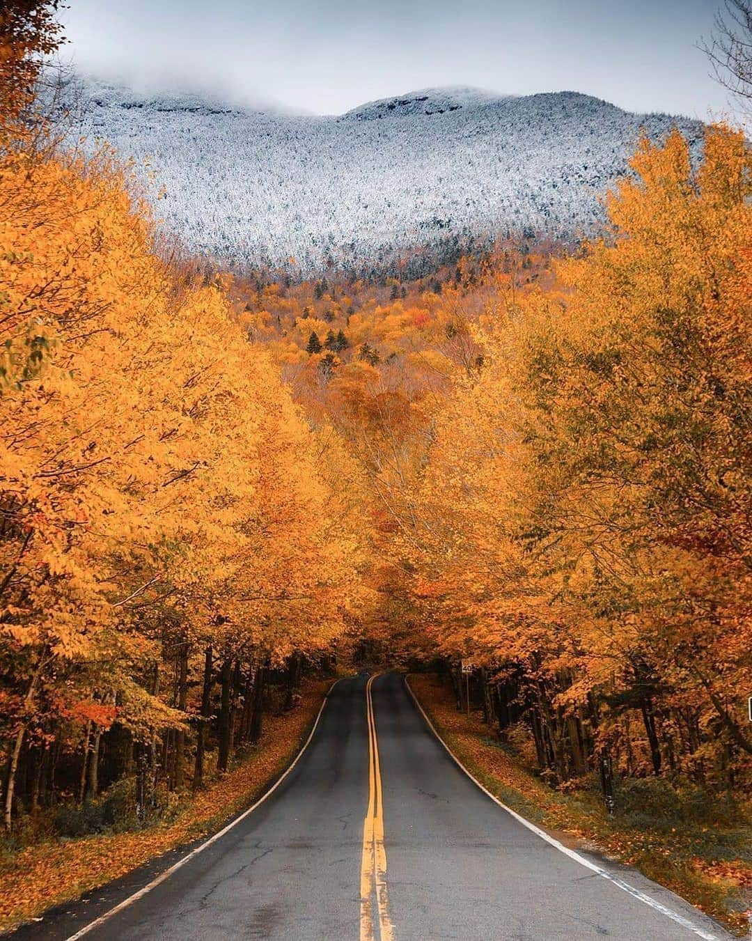 Canon Photographyさんのインスタグラム写真 - (Canon PhotographyInstagram)「Autumn meets Winter in Vermont.  Photography // @ryanresatka Curated by @steffeneisenacher  #newengland #vermont #autumn #winter #roadphotography」10月14日 16時18分 - cpcollectives