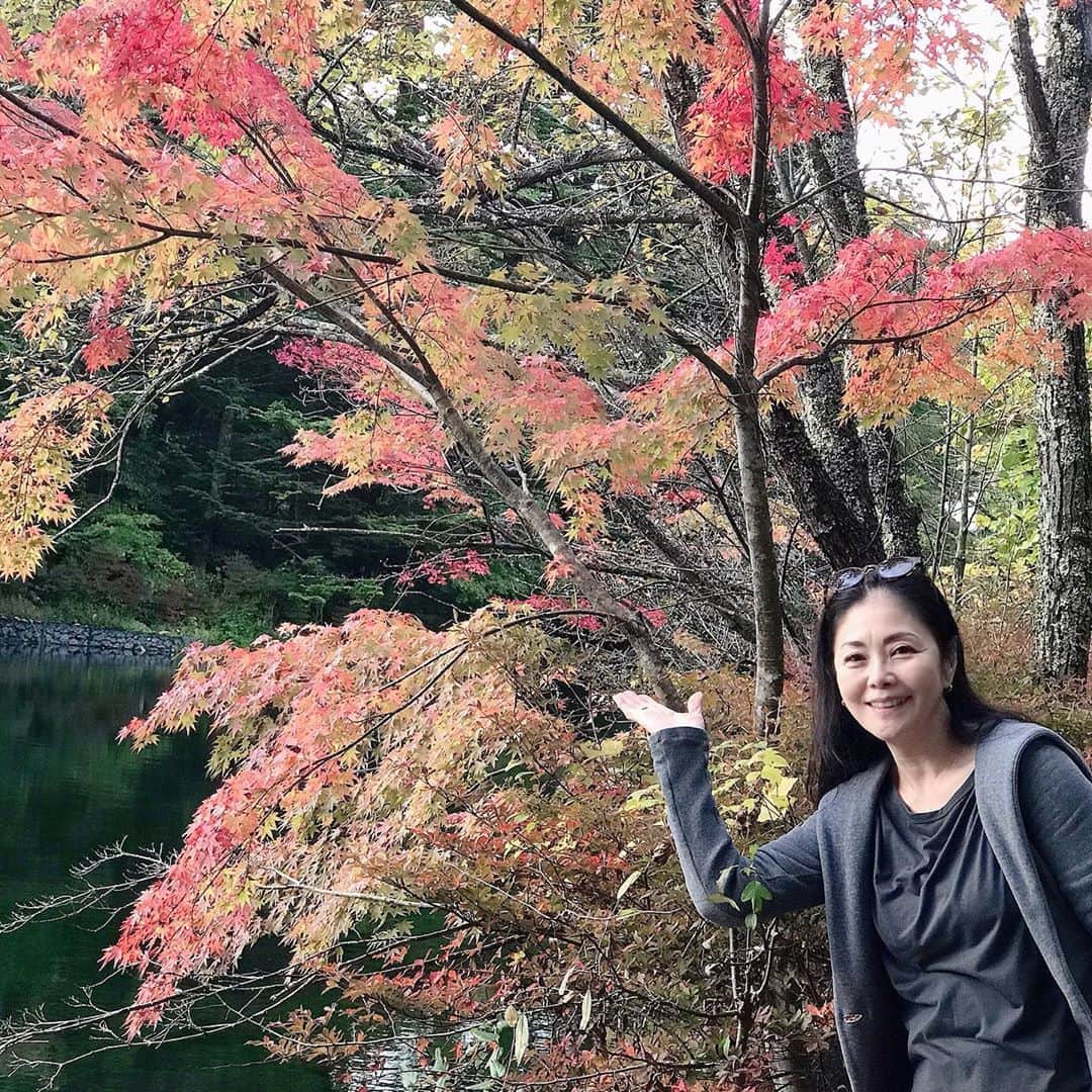 土屋眞弓のインスタグラム：「軽井沢ダイアリー 旧軽編 雲場池 紅葉綺麗🍁🍁 のんびりお散歩しながら旧軽井沢の道の両側には長い時間をかけて苔生した浅間石の石垣も素敵だなと🥰 とにかく静か🤫  #軽井沢 #雲場池 #旧軽井沢」