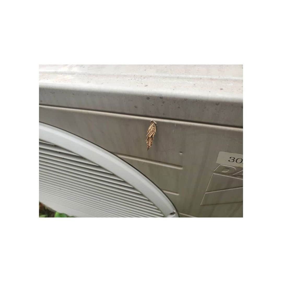 多和田えみのインスタグラム