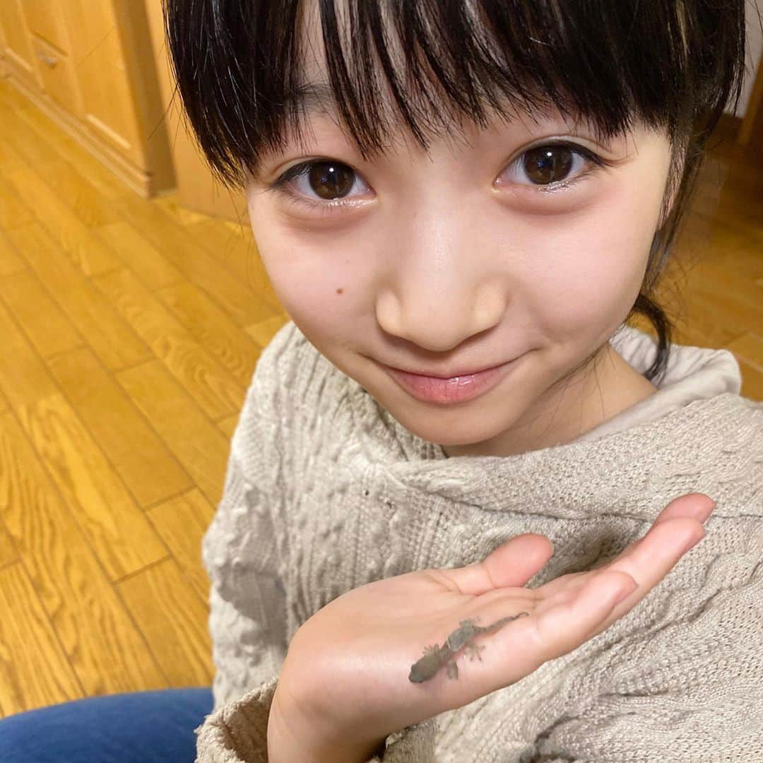 横溝菜帆さんのインスタグラム写真 - (横溝菜帆Instagram)「大切なお客様が来ました。 家の守り神、ヤモリくん‼︎ 網戸にくっついているのを発見しました☺️ ・ このまま飼いたかったけど、すぐに逃がしてあげました。 小さくて、本当に可愛かったです💕 ヤモリくん、お家を守ってください✨ ・ #ヤモリの赤ちゃん #家の守り神」10月14日 17時24分 - y_naho_te