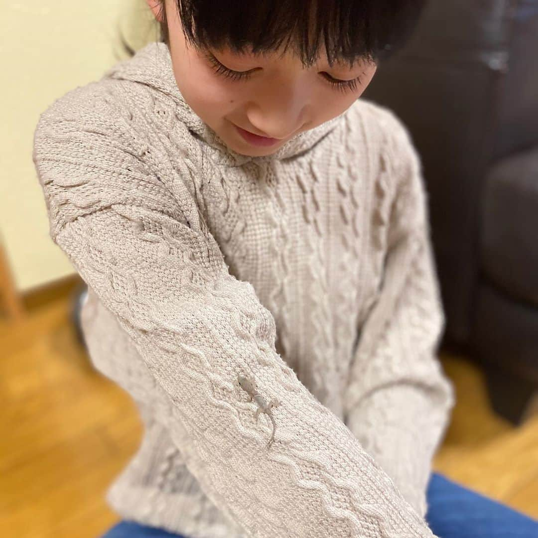 横溝菜帆さんのインスタグラム写真 - (横溝菜帆Instagram)「大切なお客様が来ました。 家の守り神、ヤモリくん‼︎ 網戸にくっついているのを発見しました☺️ ・ このまま飼いたかったけど、すぐに逃がしてあげました。 小さくて、本当に可愛かったです💕 ヤモリくん、お家を守ってください✨ ・ #ヤモリの赤ちゃん #家の守り神」10月14日 17時24分 - y_naho_te